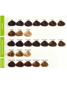 PERMANENT HAIR COLOR CREAM 100ML JJ 2