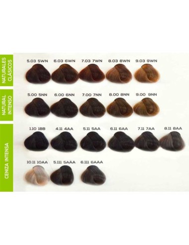 PERMANENT HAIR COLOR CREAM 100ML JJ