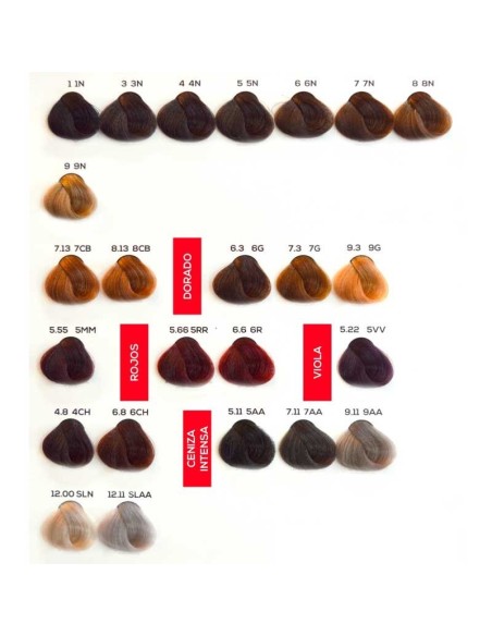 TINTE 10 MINUTE PERMANET COLOR 100ML JJ