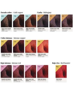 DESIGN LOOK TINTE COLOR LUX 2