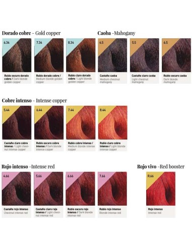 DESIGN LOOK COLOR LUX HAIR COLOR