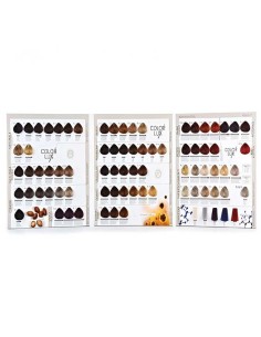 DESIGN LOOK COLOR CHART